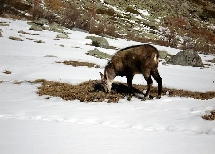 Eden Eco Hotel, Restaurant & Wellness 4* La Thuile